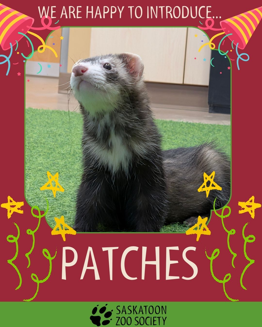 ferret name patches